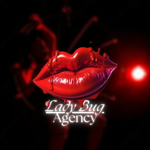 https://ladybugagency.net